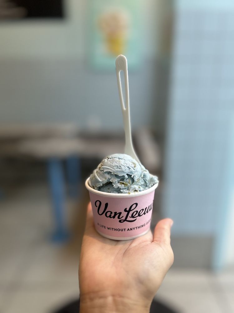 Van Leeuwen Ice Cream - Upper West Side: Amsterdam