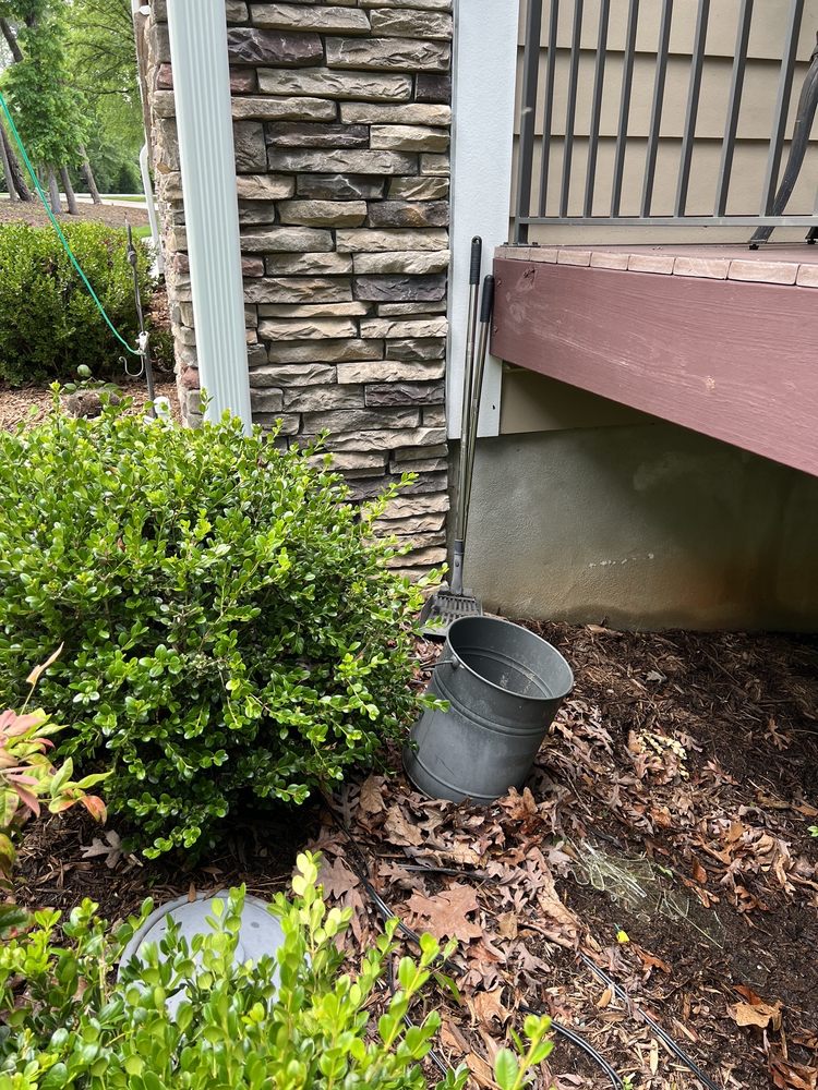 APS Window & Gutter Cleaning