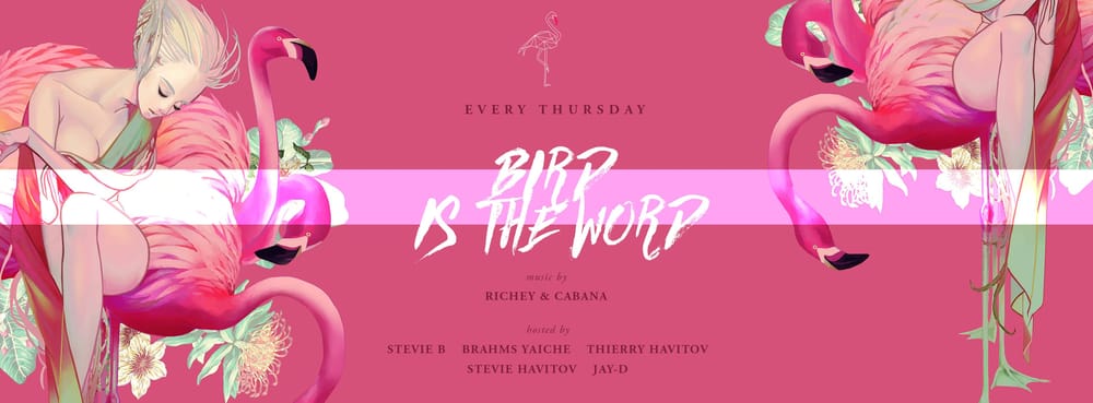 Le Pink Flamingo