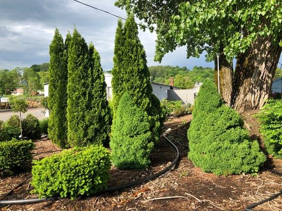 Dave's Landscaping