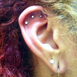 Womens ass piercings have Talented Womens ass piercings