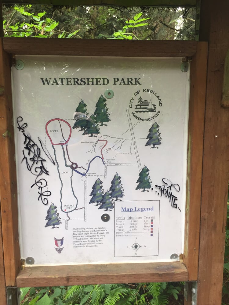 Watershed Park 13 Photos Hiking 4500 112th Ave NE, Kirkland, WA
