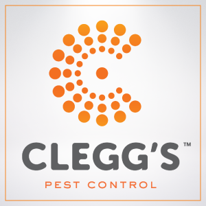 Clegg’s Termite & Pest Control - Raleigh