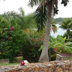 Carib Beach Resort 10 Photos 15 Reviews Hotels 70 C Photo Of Carib Beach Resort Saint Thomas Virgin Islands U S