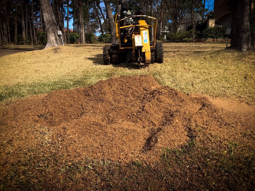 Tyler Stump Grinding