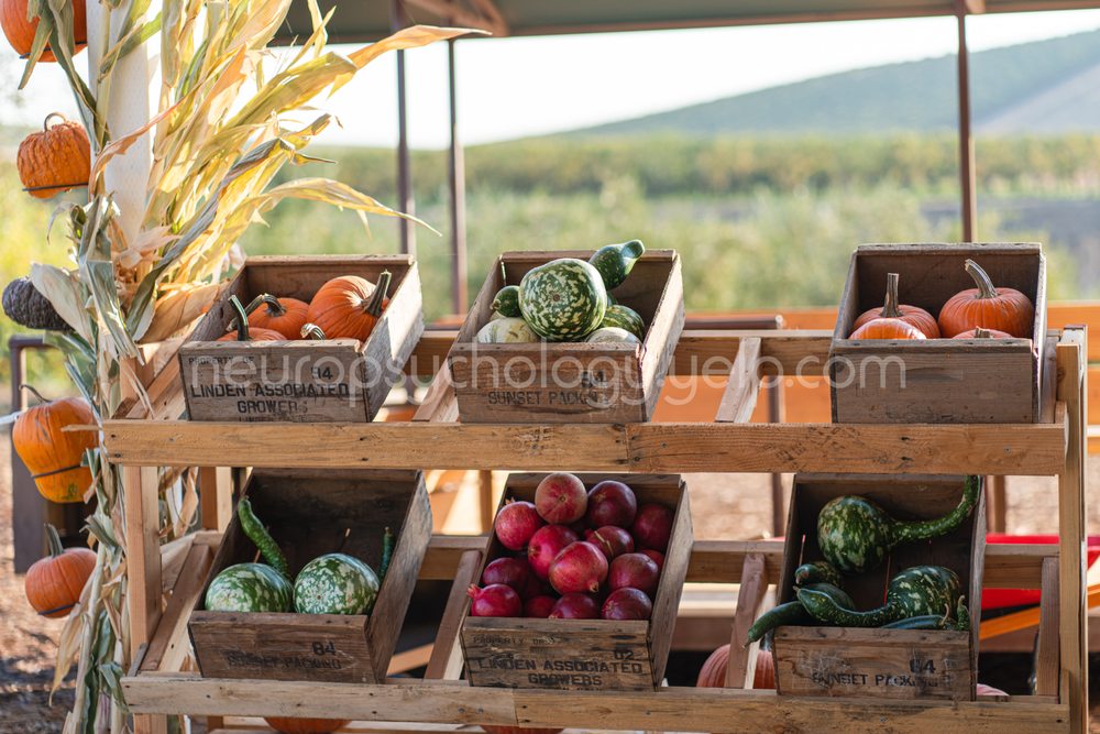 Three Nunns Farm