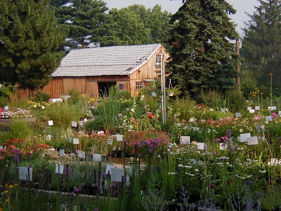 Stony Hill Perennial Farm