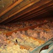 Regal Pest Control 5860 N Canton Ctr Rd Mi Best Of Yelp Canton Pest Control Platinum Wildlife Removal