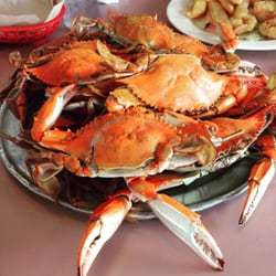Pier 23 Restaurant 48 Reviews Buffets 2224 Atlantic Ave Photo Of Pier 23 Restaurant Virginia Beach Va United States 12 Blue