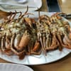 Happy Crab