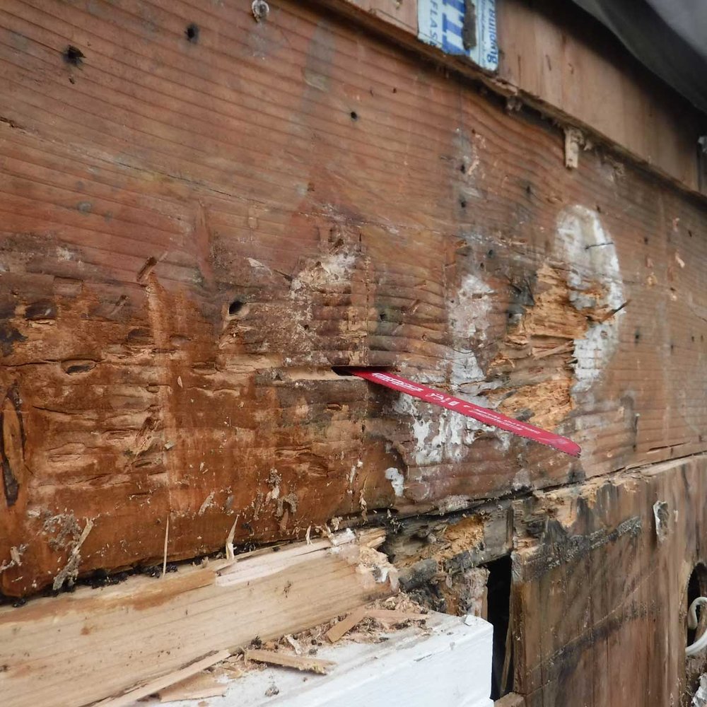 image of business SFW Construction LLC