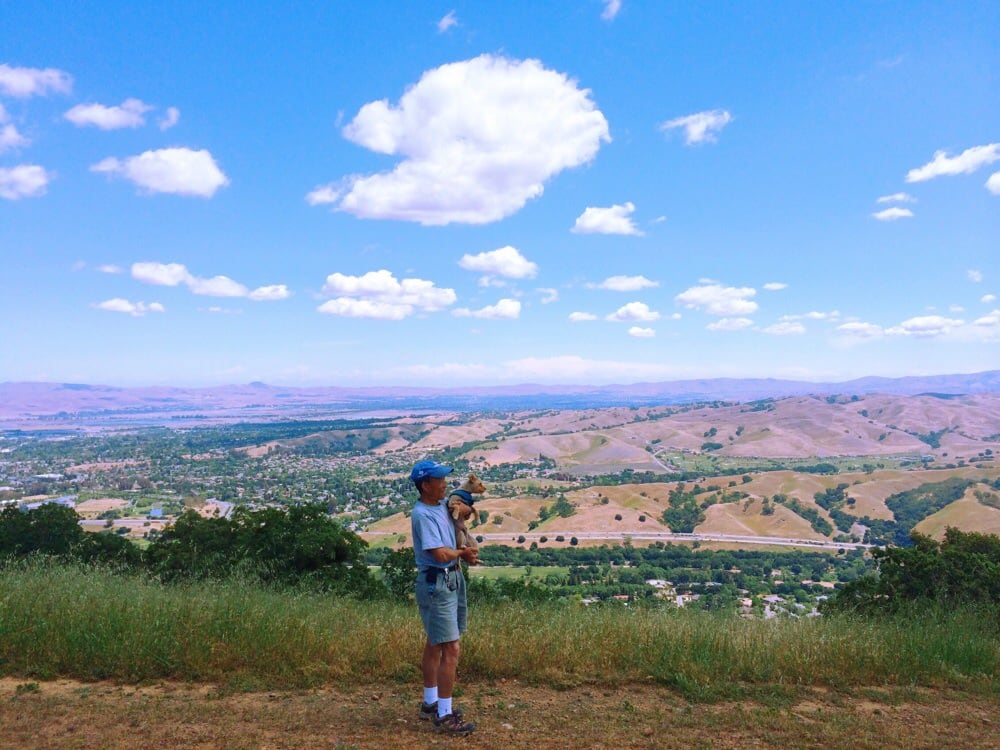 Pleasanton Ridge Regional Park 264 Photos & 83 Reviews Parks