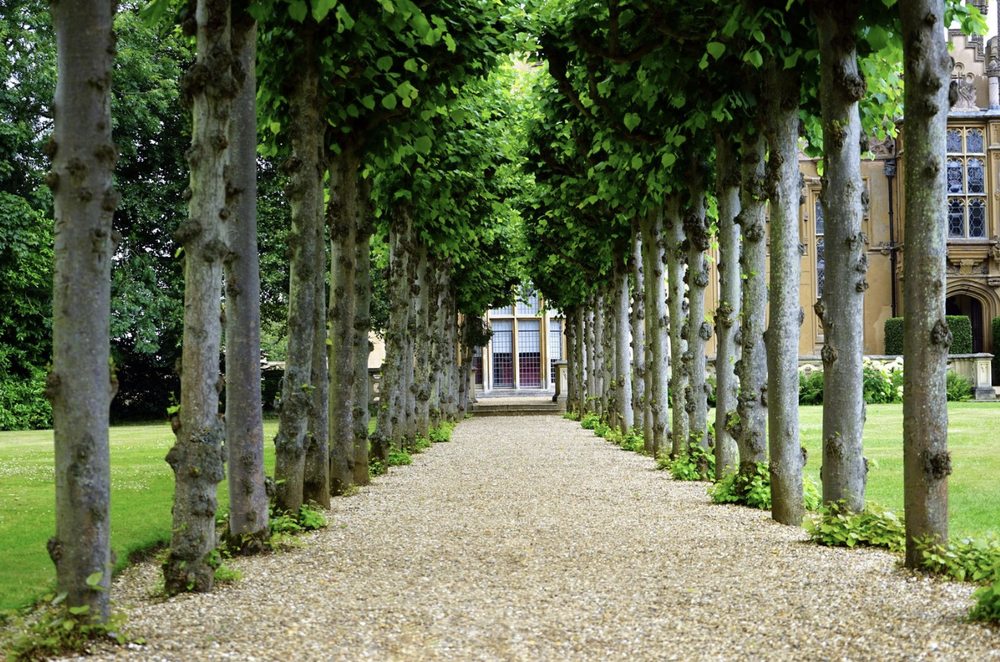 Hill Landscape Solutions