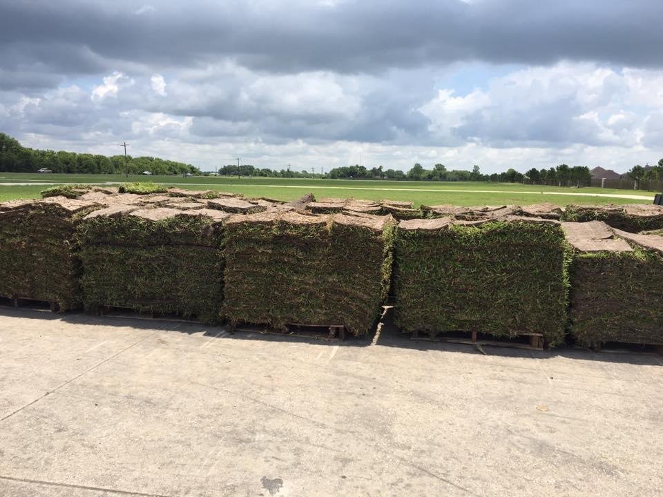 Doguet Turf Farm