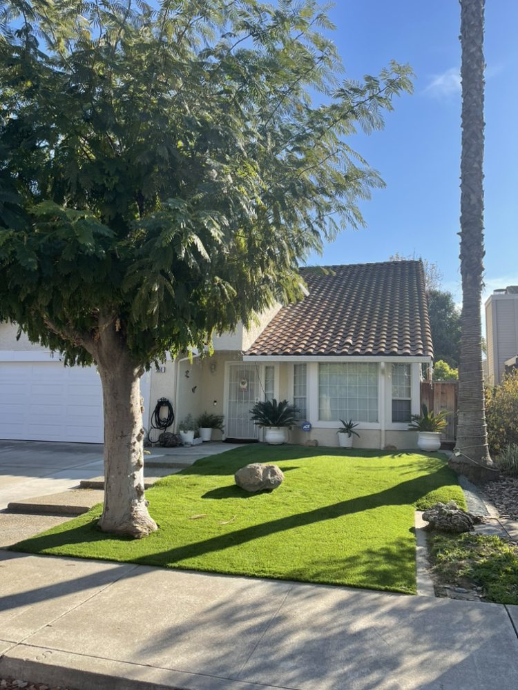 California Turfing