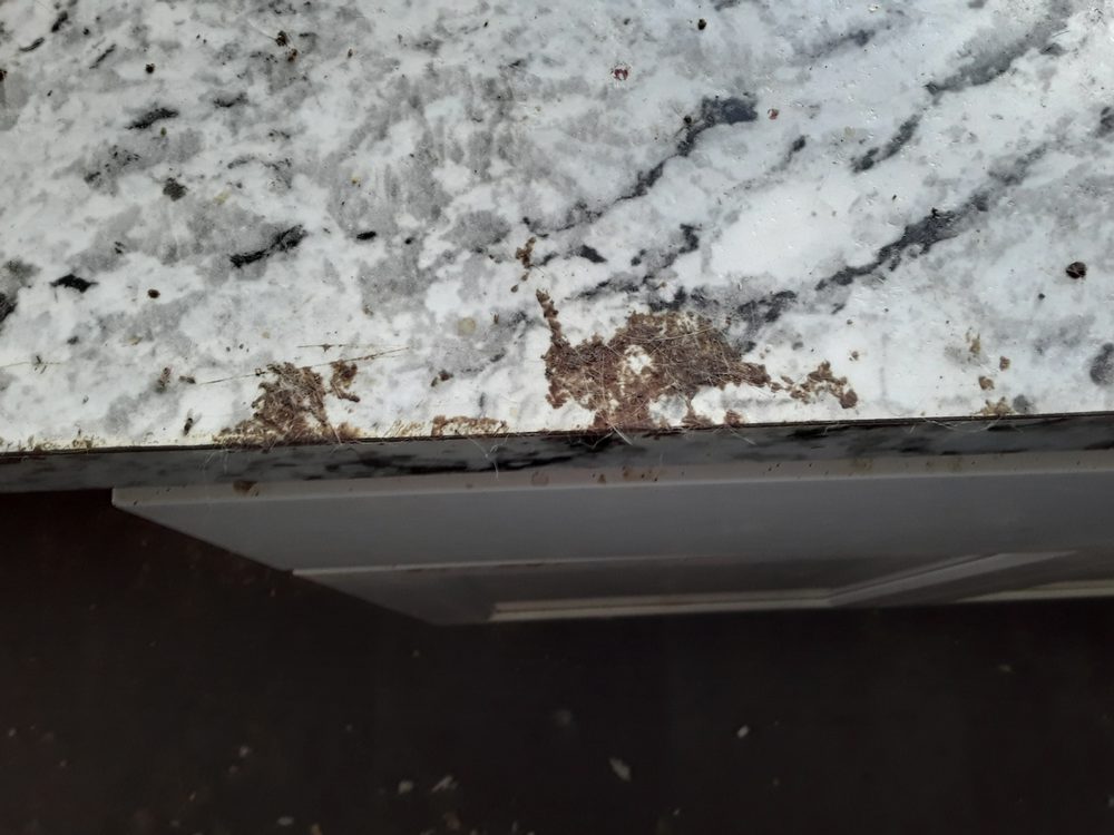Hammond Cleaning & Restoration