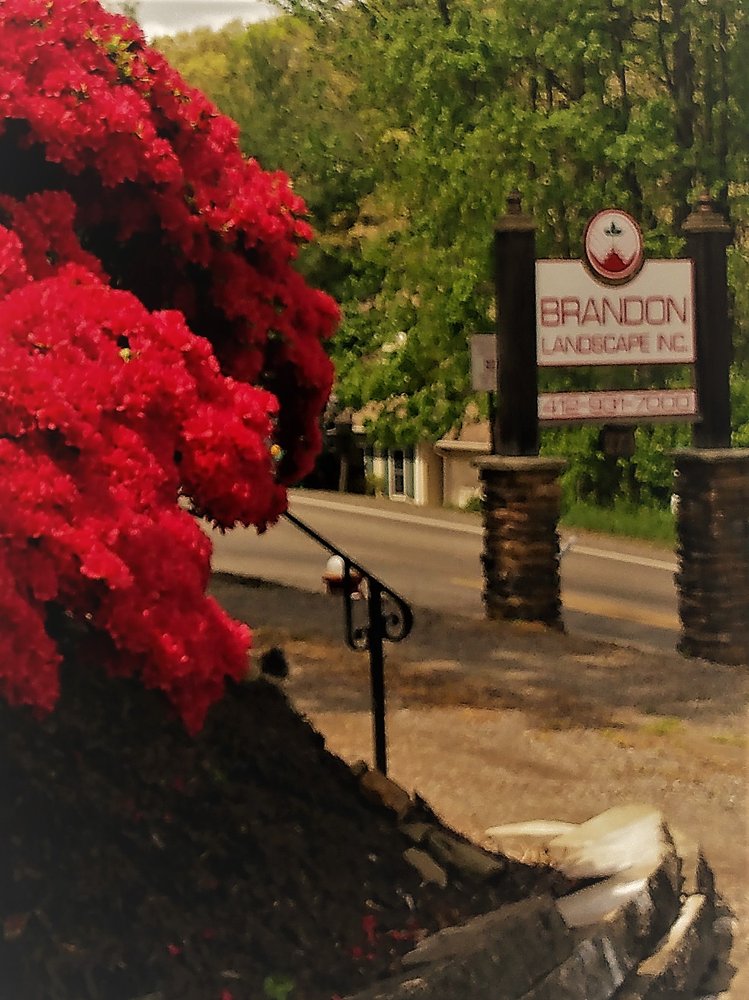 Brandon Landscape