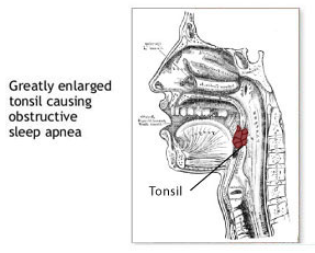 image of business Matthew Finerman, MD