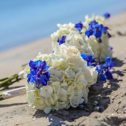 Petals By The Beach 331 Photos 46 Reviews Florists 1470 A Photo Of Petals By The Beach San Go Ca United States