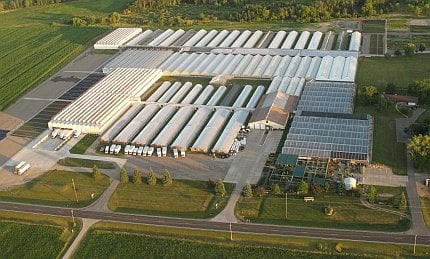 Green Valley Greenhouse Nurseries Gardening 6530 Green Valley Greenhouse Nurseries Gardening 6530 Rd Ramsey Mn Phone Number Last Updated December 20 2018 Yelp