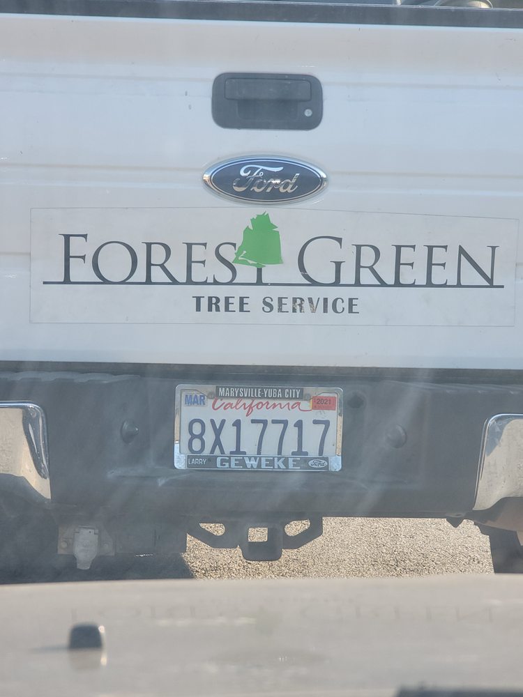 Forest Green Tree Service