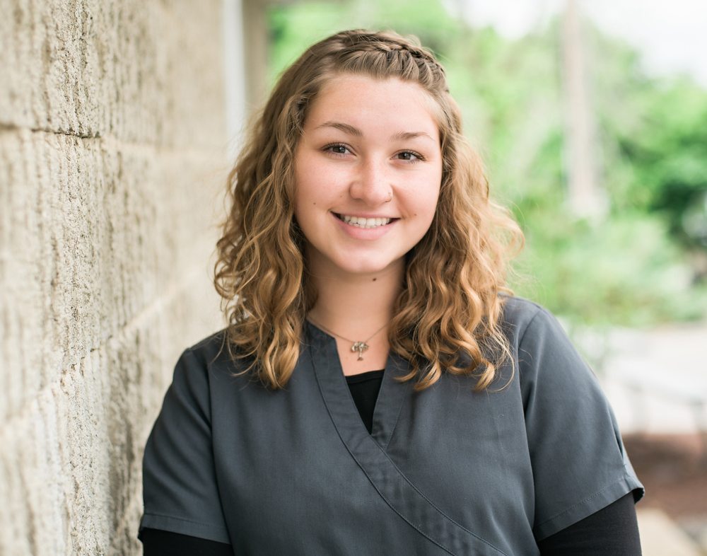 image of business Wappingers Falls Dental Arts