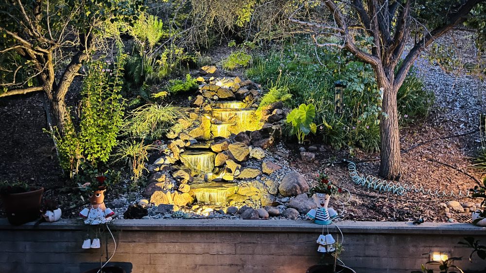 Pond Magic Water Gardens
