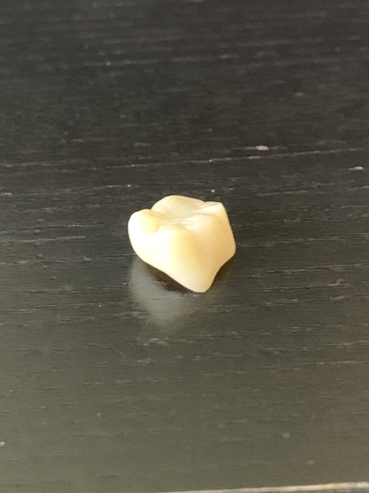 image of business Gentle Dental Norwood