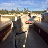 Holloway’s Marina & RV Park - 98 Photos & 145 Reviews - Boating - 398