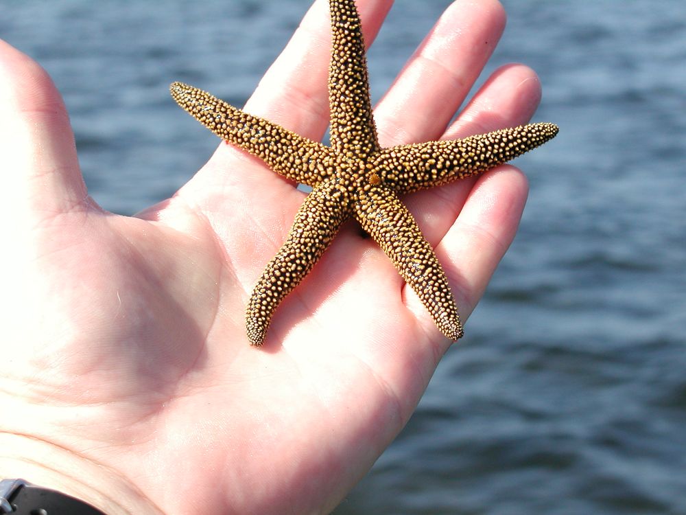 Door Systems - Charlotte