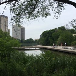 North Pond Nature Sanctuary - 50 Photos - Parks - 2610 N Cannon Dr ...