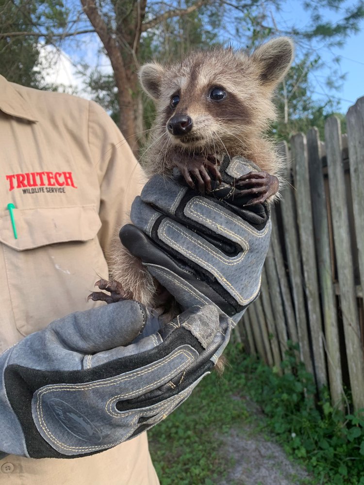 Trutech Wildlife Service