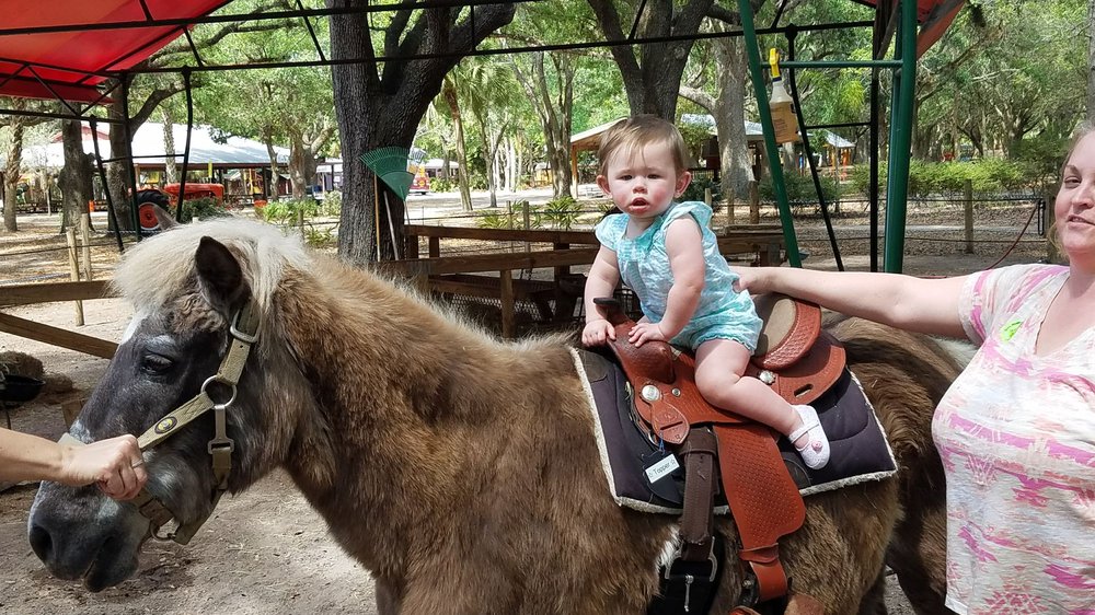 Green Meadows Farm 125 Photos & 57 Reviews Attraction Farms 1368