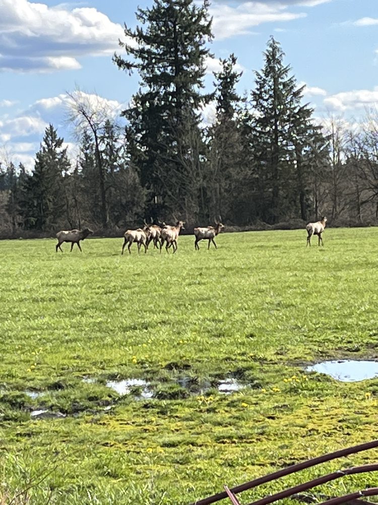 image of business Able Air Heating & Cooling