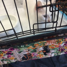 petco 12 beitr 228 ge zoohandlung tierbedarf 8070 petco 12 beitr 228 ge zoohandlung tierbedarf 8070