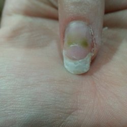 L C Nails Nail Salons 481 Highway 71 W Bastrop Tx Phone Photo Of L C Nails Bastrop Tx United States When Gel Where