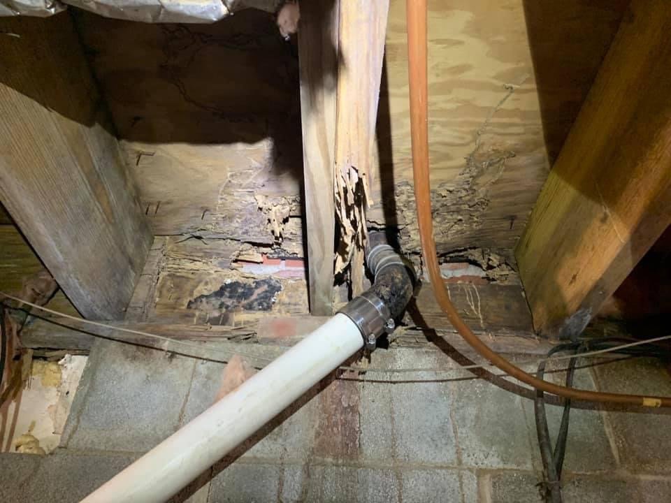 Elite Home Inspections