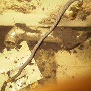 debris photo of all clean dryer vent cleaning arvada co united states
