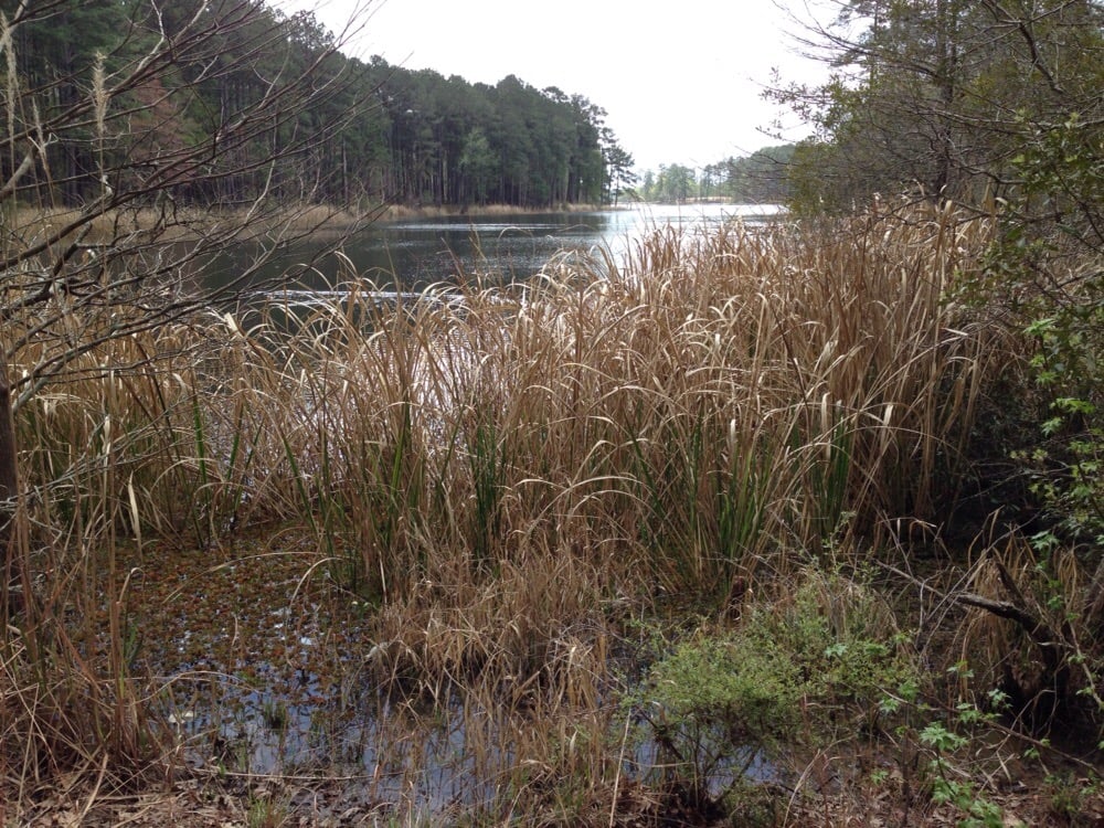 Indian Creek Recreational Park Parks 100 Campground Rd Woodworth