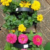 Behlmann Nursery Garden Center Closed Nurseries Gardening Photo Of Behlmann Nursery Garden Center Florissant Mo United States