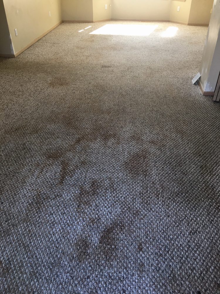 Prime Carpet Cleaning
