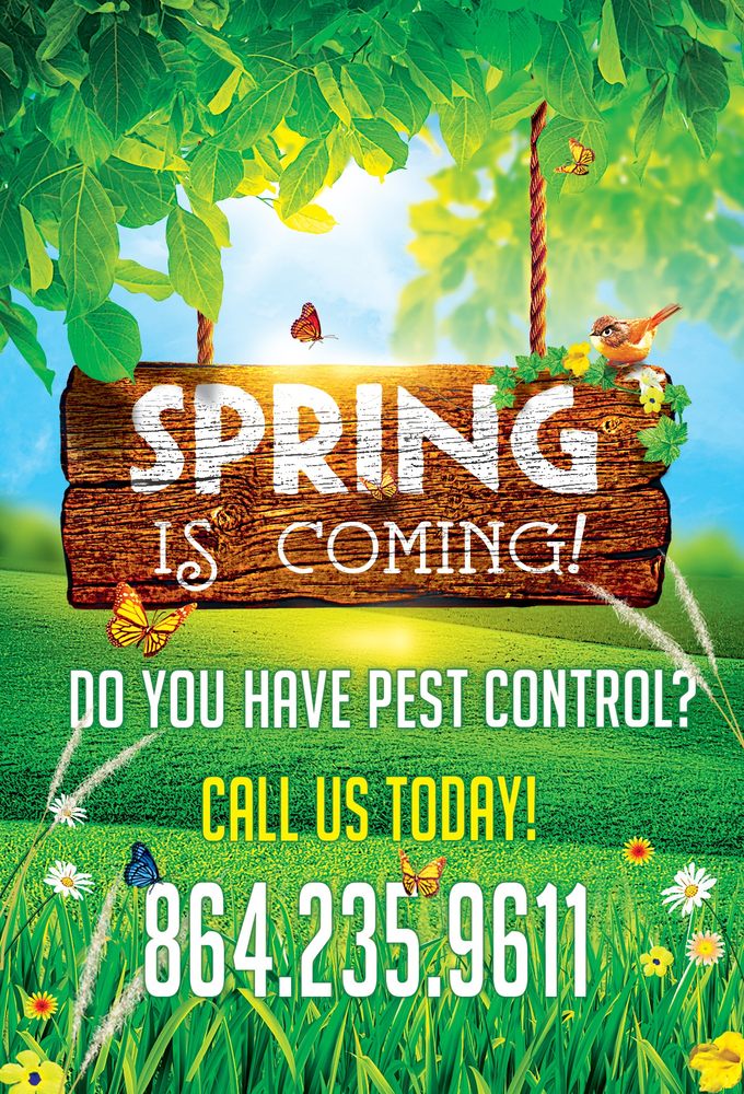 Mack Pest Solutions