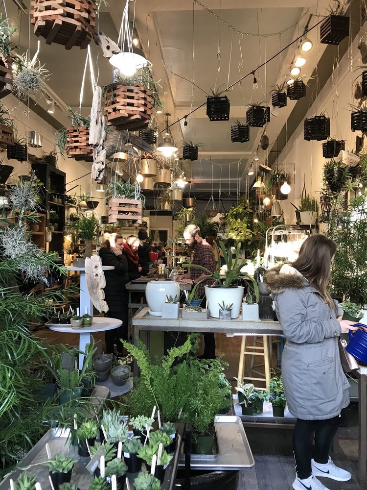 The Palm Room