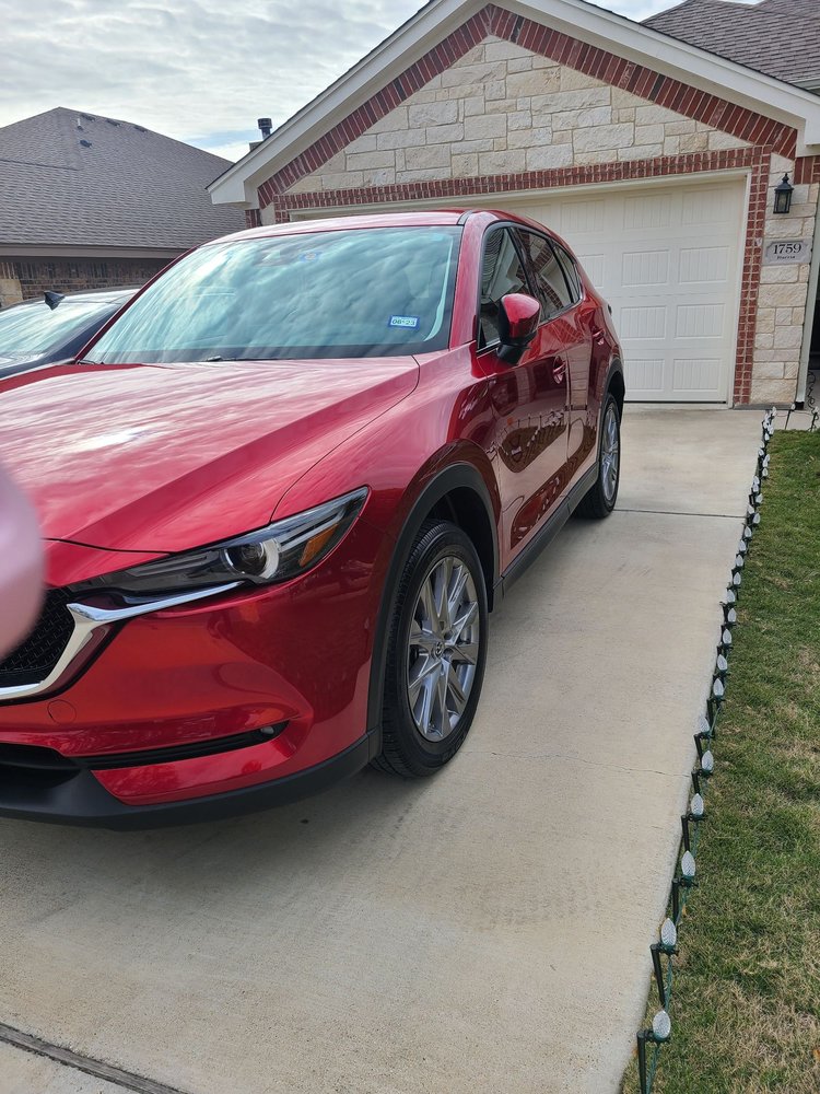 Bulldog Auto Detailing