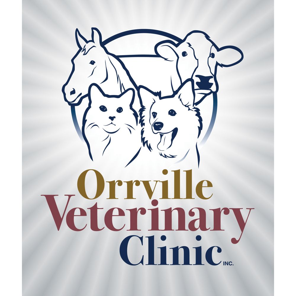 Orrville Veterinary Clinic Veterinarians 1665 N Main St, Orrville
