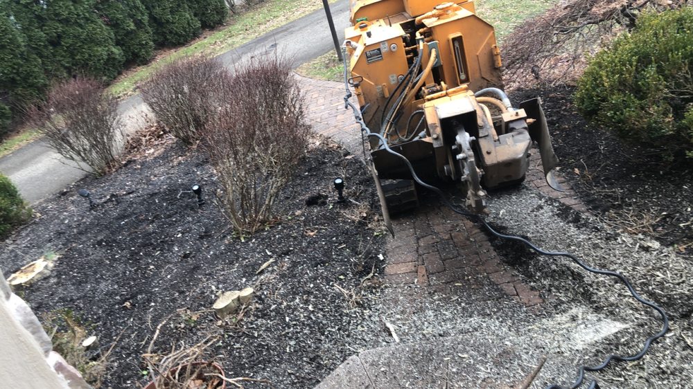 F and C Landscaping