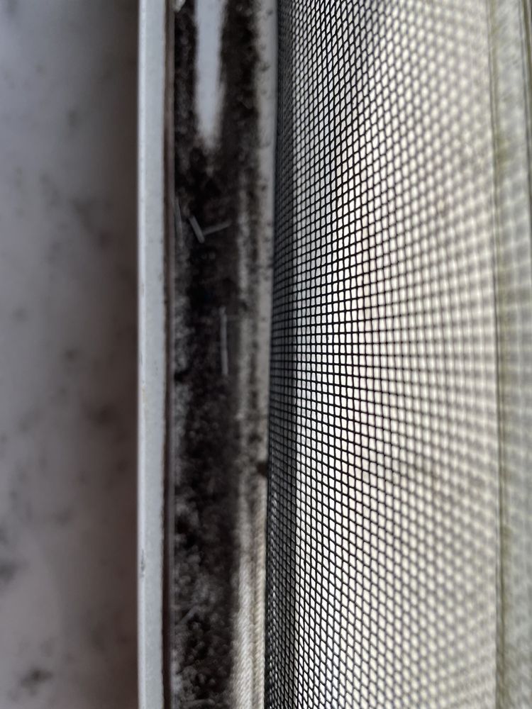 Sabrinas Atlantic Window Cleaning and Pressure Cleaning