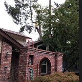 J F Tree Service Inc 29 Photos 59 Reviews Services Photo Of J F Tree Service Inc Beaverton Or United States