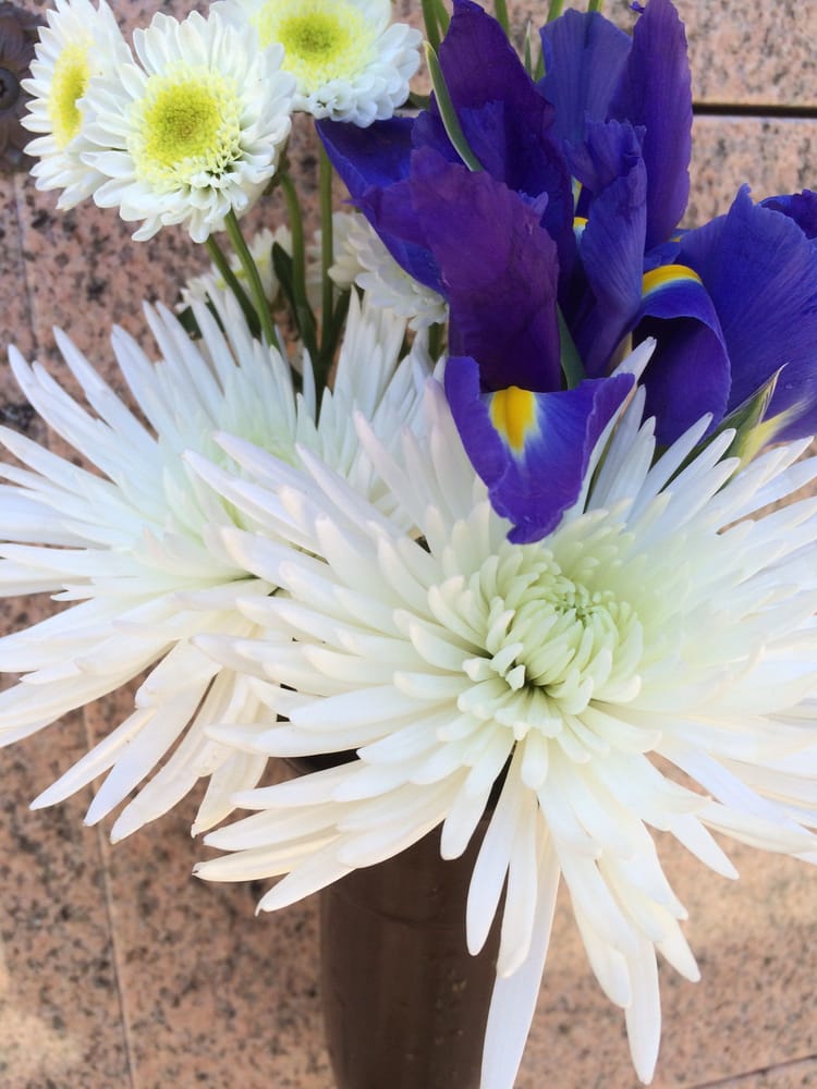 Diamond Head Memorial Park 18 Photos & 10 Reviews Funeral Services