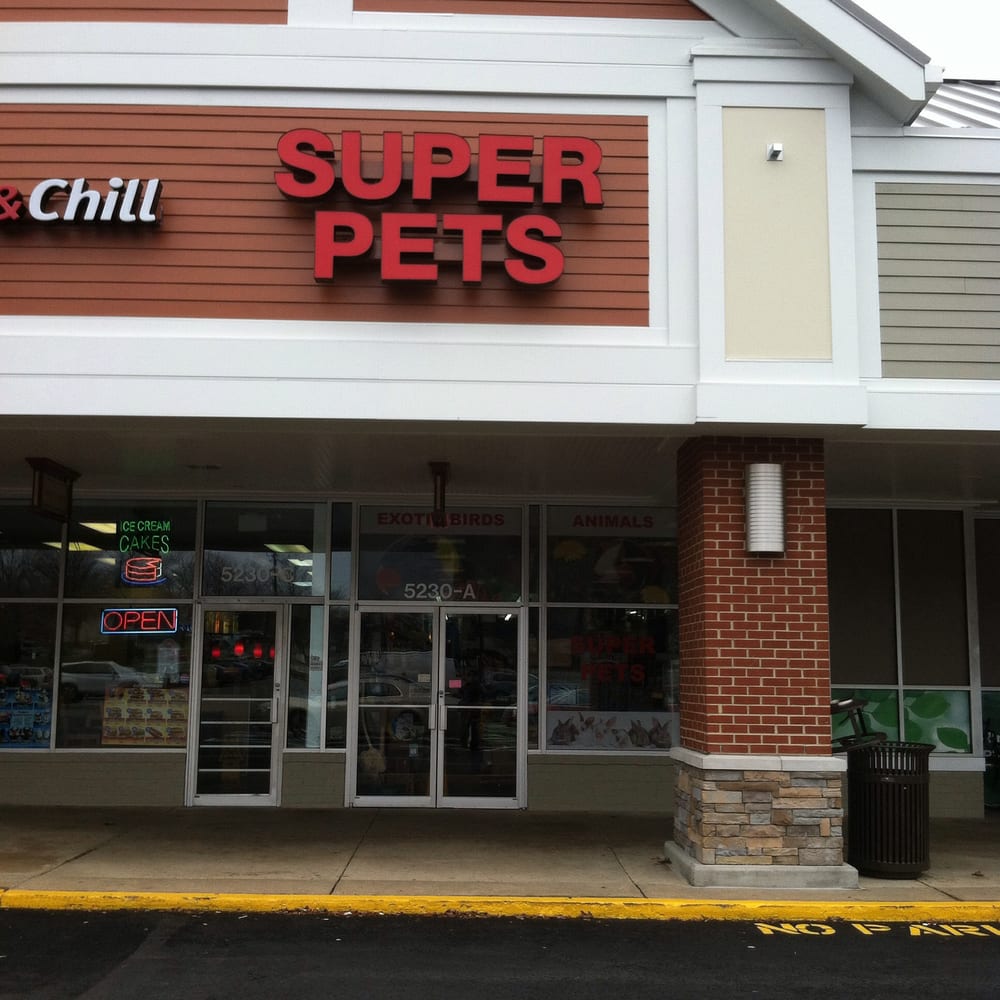 super pets closed 66 photos 42 reviews local fish super pets closed 66 photos 42 reviews local fish